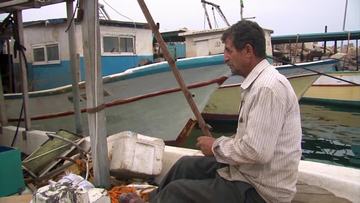 Résultat de recherche d'images pour "Fishless Sea Samer Qatta"
